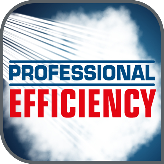 Eficiență profesională
