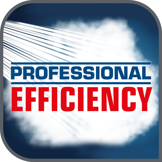 Eficiență profesională