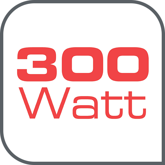 Motor puternic de 300 W
