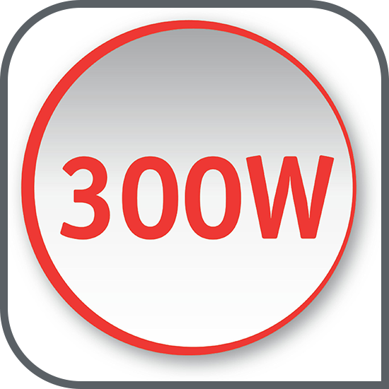 Motor puternic de 300 W