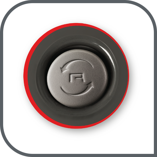 Funcție Reverse securizată